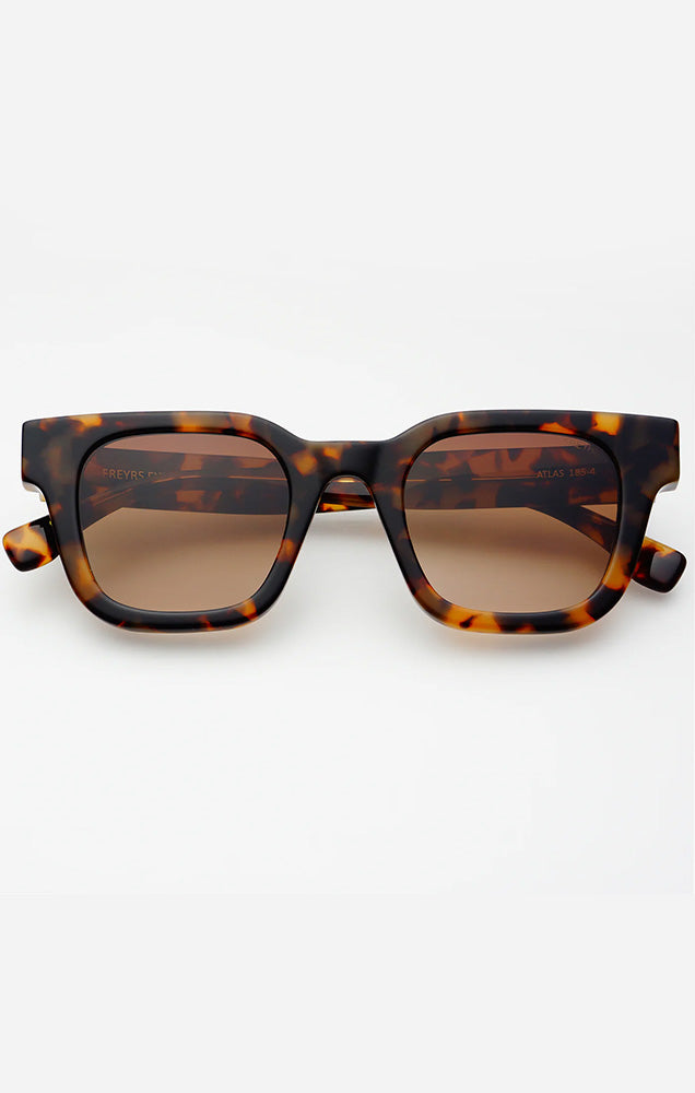 FREYRS ATLAS SUNGLASSES IN TORTOISE/BROWN