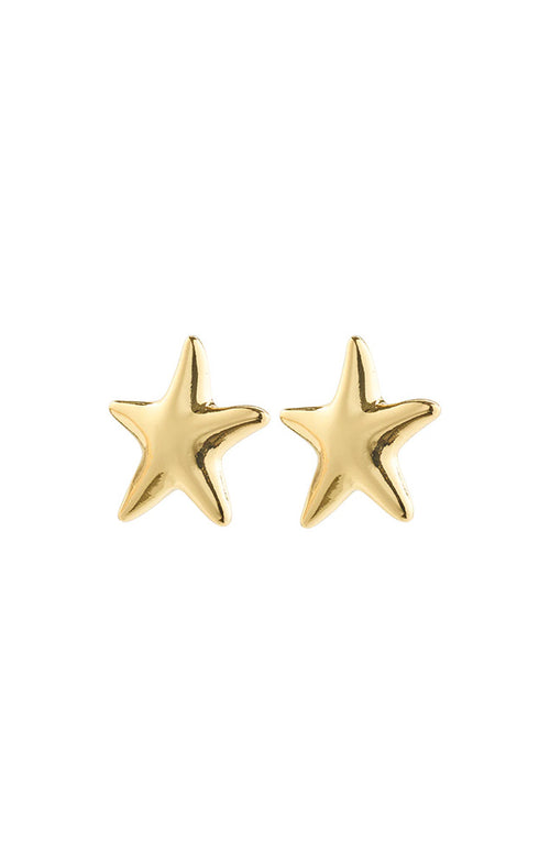 PILGRIM FORCE RECYCLED STARFISH EARRINGS