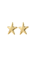 PILGRIM FORCE RECYCLED STARFISH EARRINGS