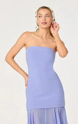 LIZET STRAPLESS CONTRAST MAXI DRESS IN PERIWINKLE
