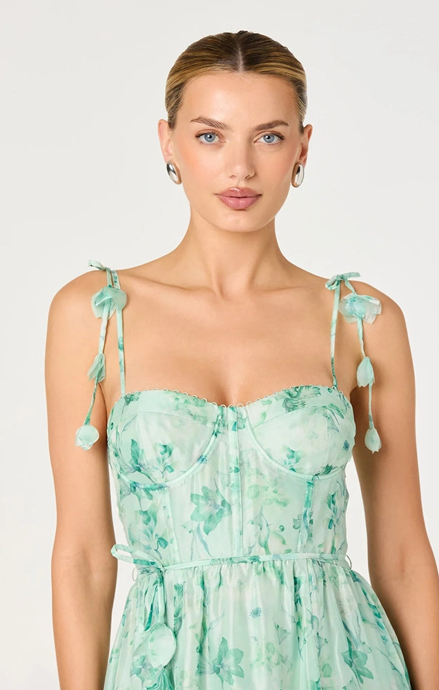 HALYCON FLORAL 3D APPLIQUÉ MIDI DRESS