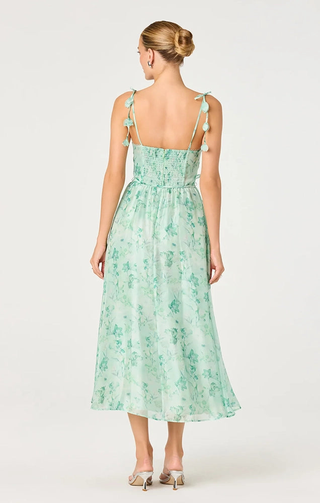 HALYCON FLORAL 3D APPLIQUÉ MIDI DRESS