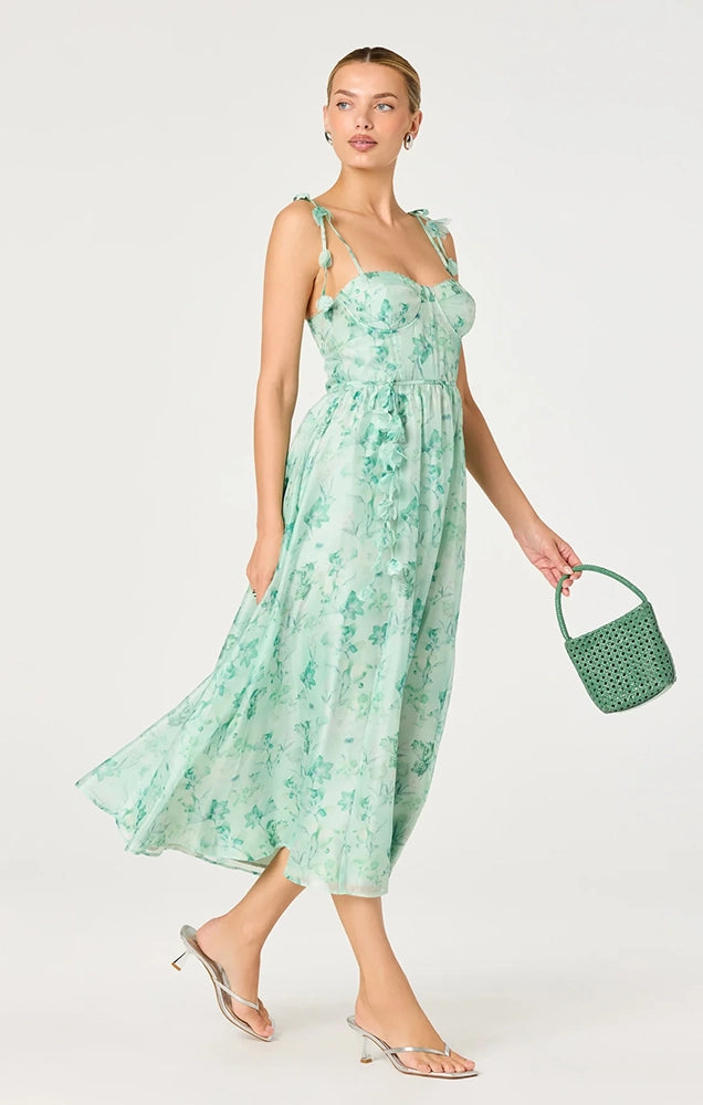 HALYCON FLORAL 3D APPLIQUÉ MIDI DRESS