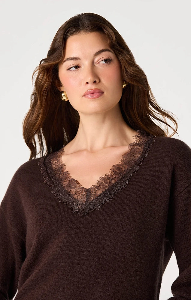 Jadyn Lace-Trim V-Neck Sweater