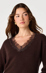 Jadyn Lace-Trim V-Neck Sweater
