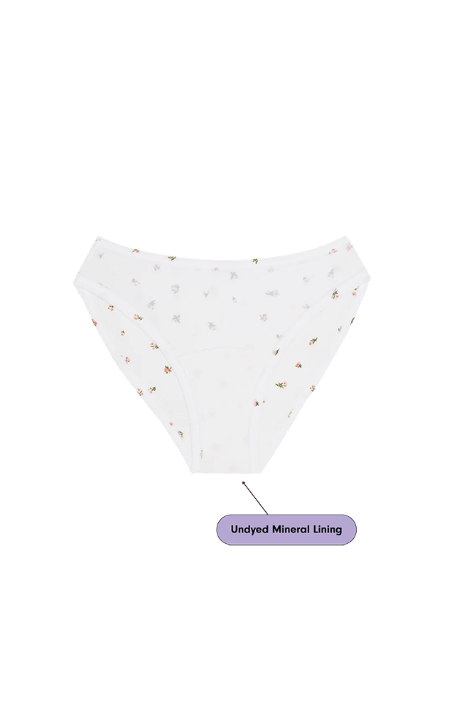 Mineral Undies - Bikini in Morning Rose