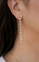 Crystal Rainfall Earrings