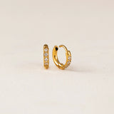 EVIE HOOP EARRINGS